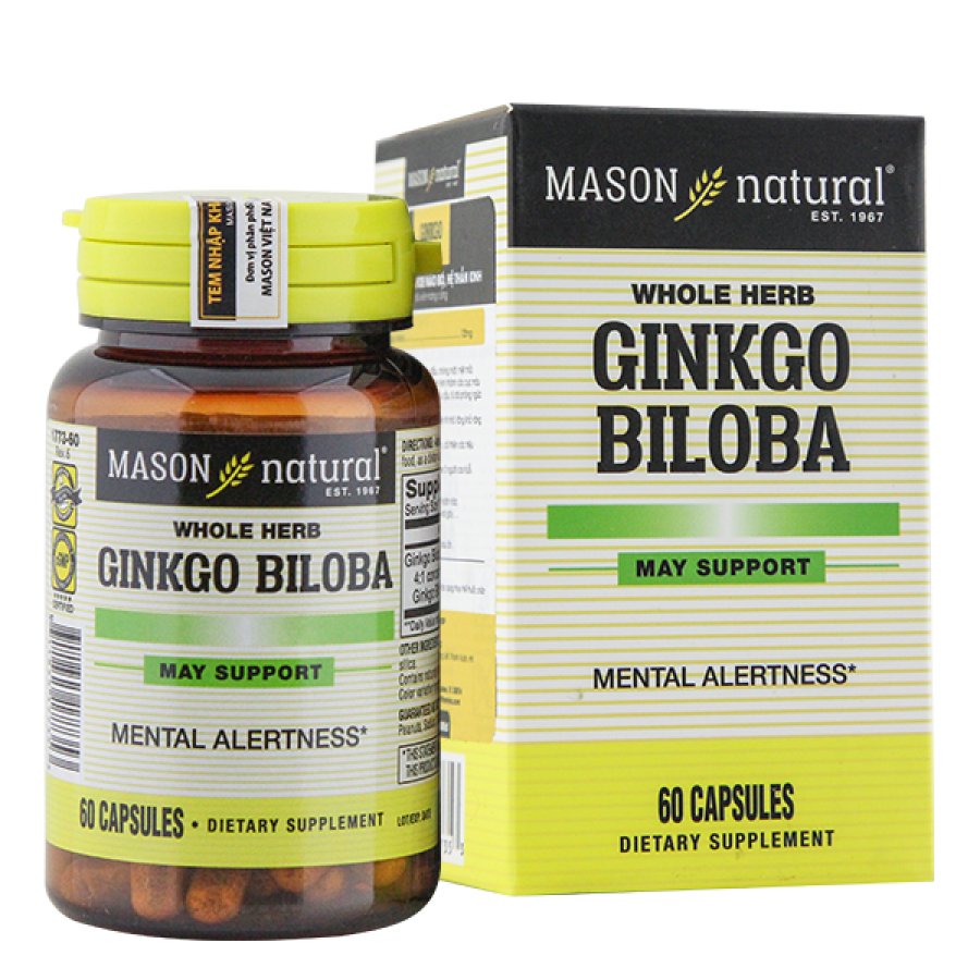 sử dụng gonkgo biloba của mason bổ não, hỗ trợ chữa đau nửa đầu
