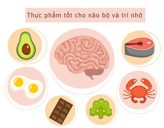 Nên ăn gì để bổ não? – 3 nhóm thực phẩm bổ não nhất hiện nay!