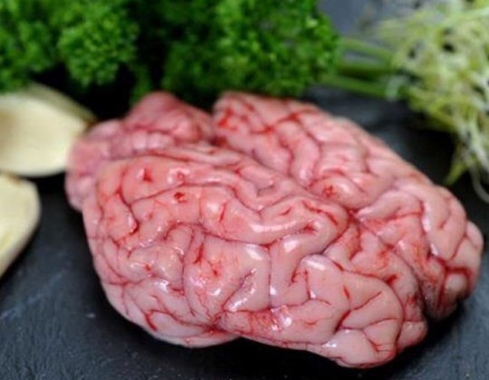 Top 8 thức ăn bổ não tăng cường trí nhớ cho cả nhà
