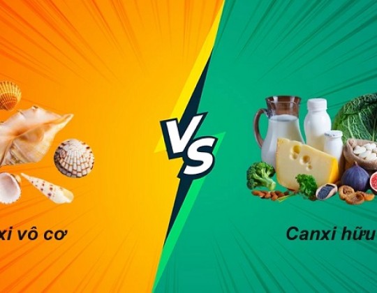 Canxi hữu cơ hay vô cơ tốt hơn? Nên chọn loại canxi nào?