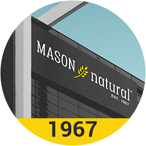 Lịch sử Mason