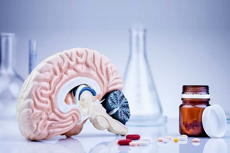 Viên uống bổ não thực chất chỉ là thực phẩm bổ sung hỗ trợ cho bộ não khỏe hơn