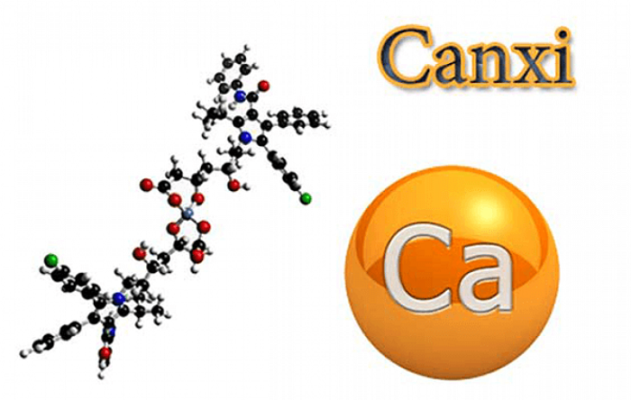 Vai trò của canxi đối với cơ thể