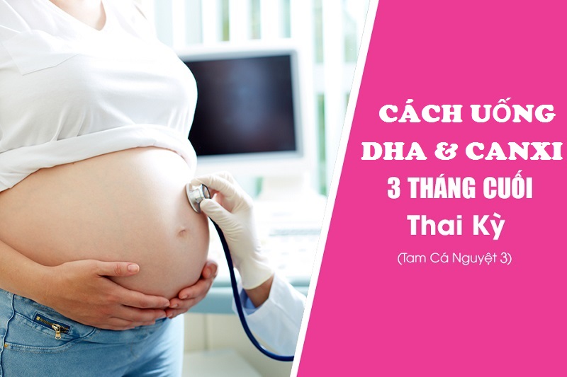 Cách uống DHA và canxi cho bà bầu 3 tháng cuối thai kỳ đạt hiệu quả cao