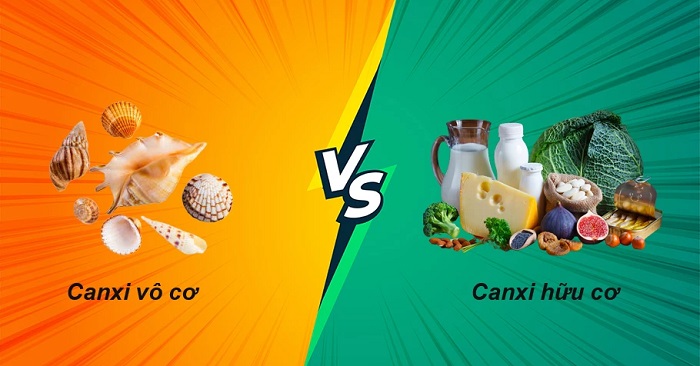 Canxi hữu cơ hay vô cơ tốt hơn