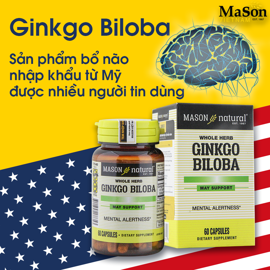 Có nên uống ginkgo biloba - Viên uống Mason Ginkgo Biloba - Hỗ trợ sức khỏe não bộ, hệ thần kinh