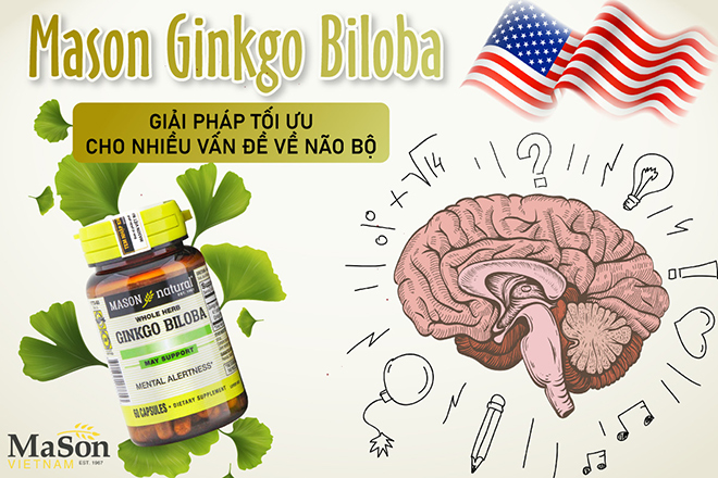 Mason Ginkgo Biloba - Viên uống hỗ trợ tăng cường tuần hoàn máu não, giảm đau đầu, chóng mặt