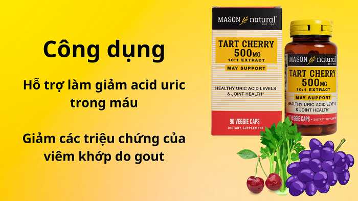 Tart Cherry 500mg - Hỗ trợ giảm Acid Uric trong máu và giảm các triệu chứng viêm khớp do Gout