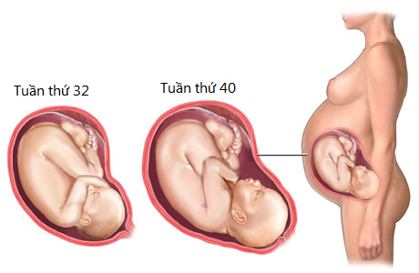 3 tháng cuối thai kỳ là giai đoạn này trẻ bắt đầu ổn định, mỗi ngày mẹ cần phải đáp ứng đủ 150 - 450mg canxi