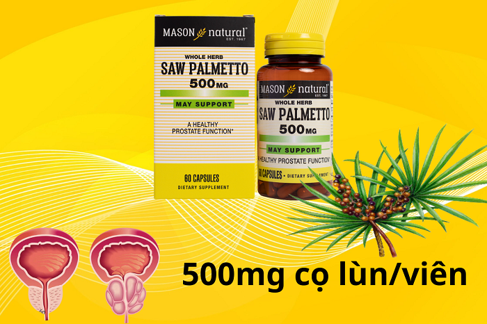 Saw Palmetto 500mg - Hỗ trợ điều trị phì đại tiền liệt tuyến