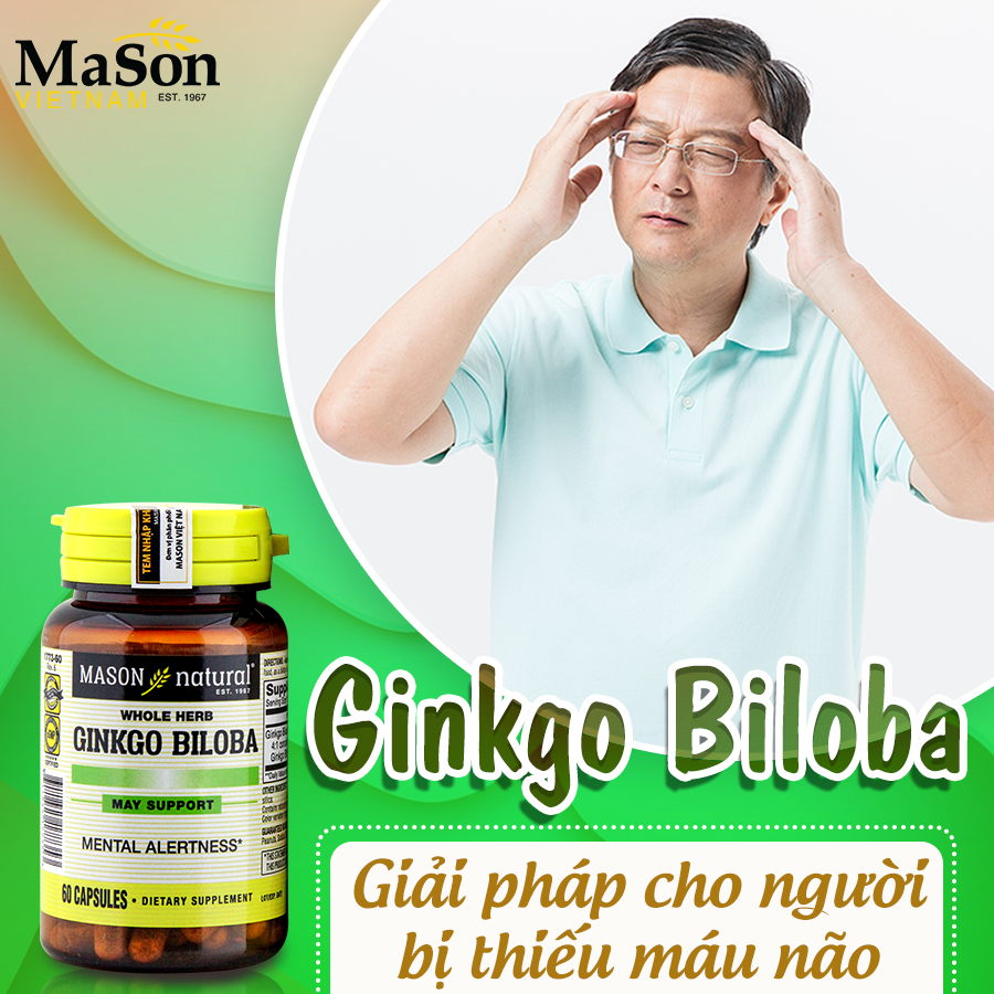 Tác dụng của viên uống bổ não Ginkgo Biloba Mason