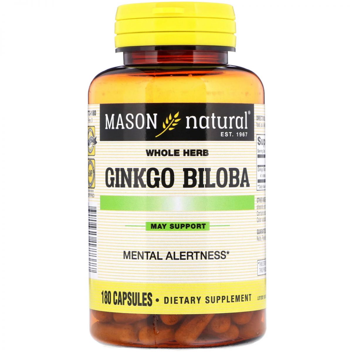 Cách giảm đau đầu với Mason Ginkgo Biloba